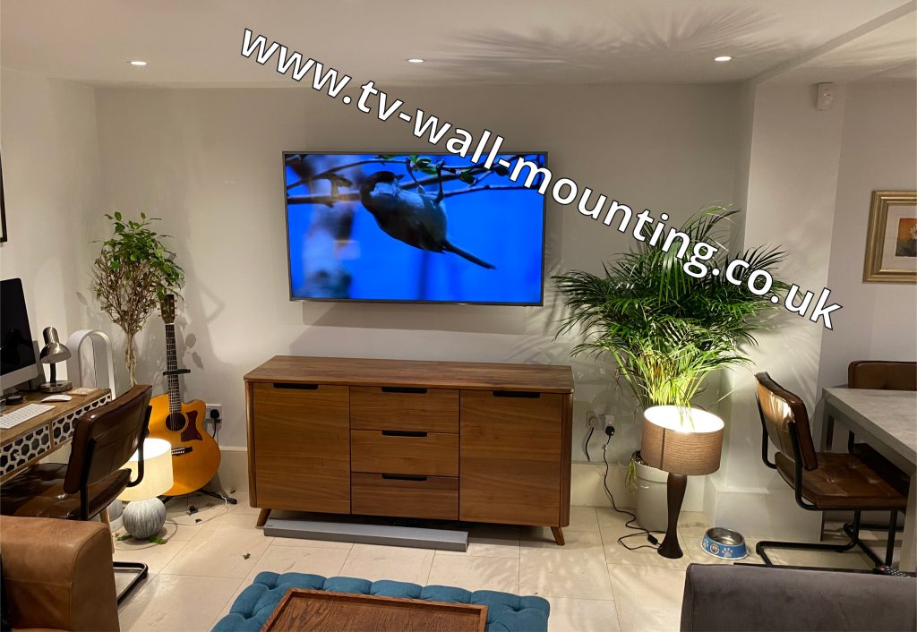 Wall Mount TV